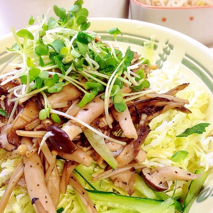 文句なしに美味しいごちそうサラダ きのこサラダ レシピ 作り方 By Chocoママ3 楽天レシピ